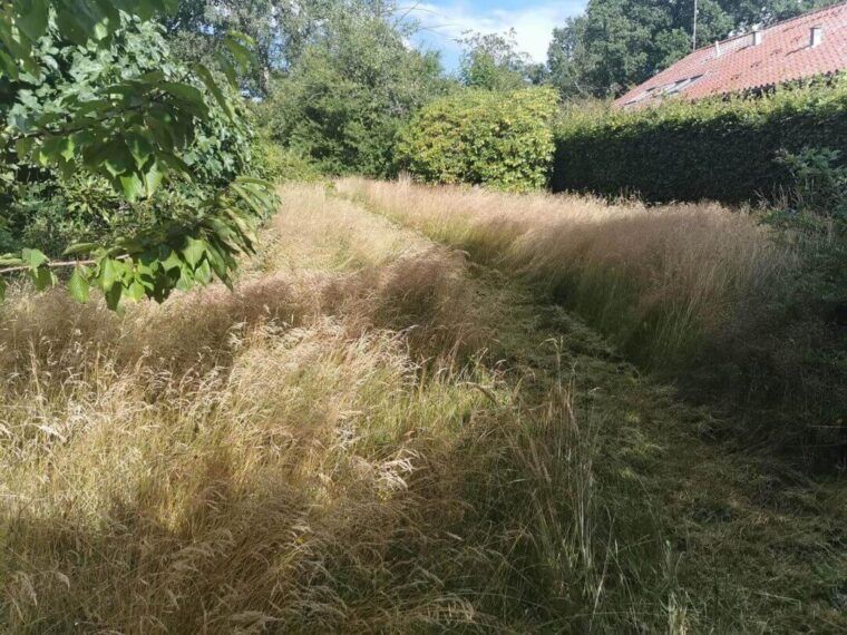 Fuge/flise rengøring - før